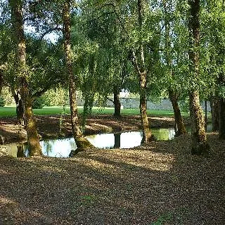 Hotel Le Logis Du Pere Saint-Coutant-le-Grand
